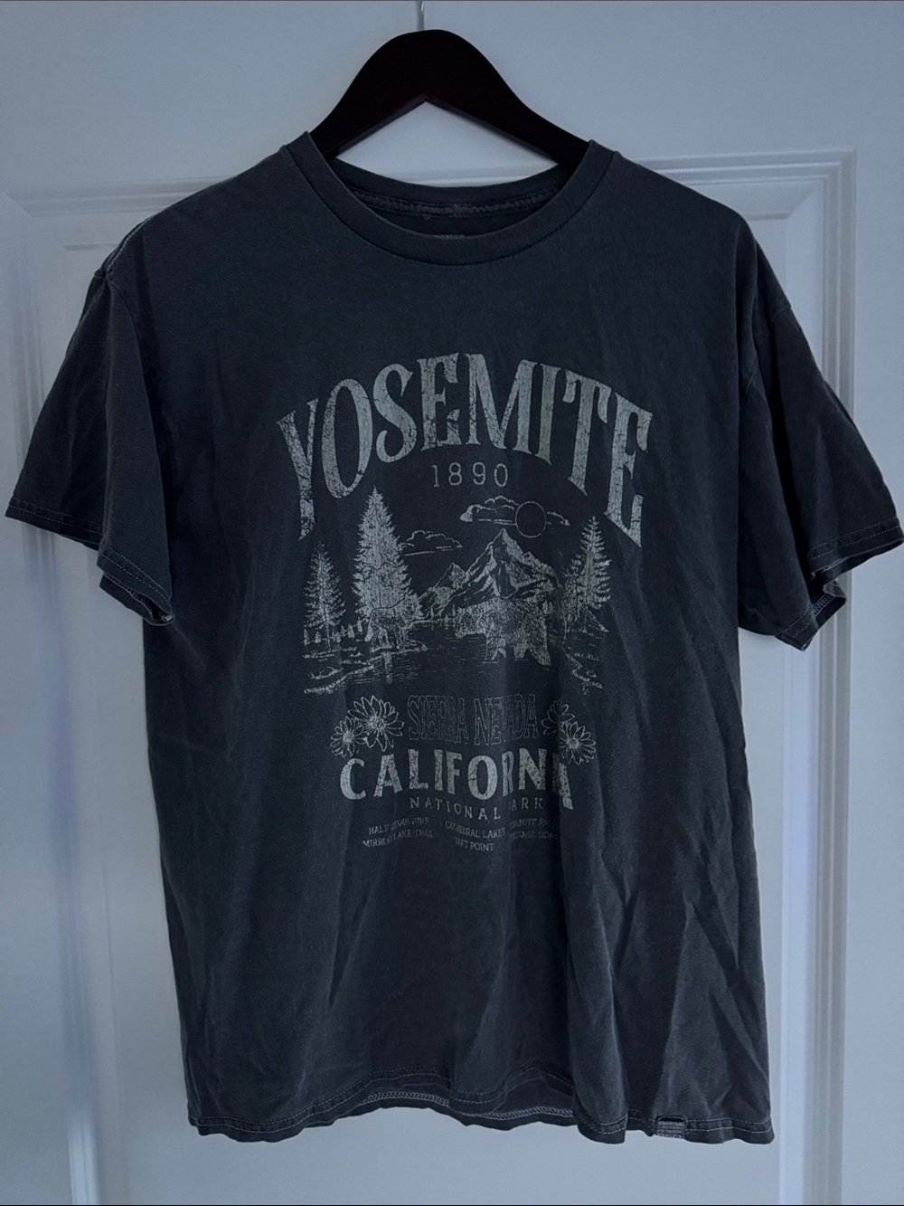 NWOT Pacsun RSQ Yosemite Park Range Detail Graphic Short Sleeve Shirt M